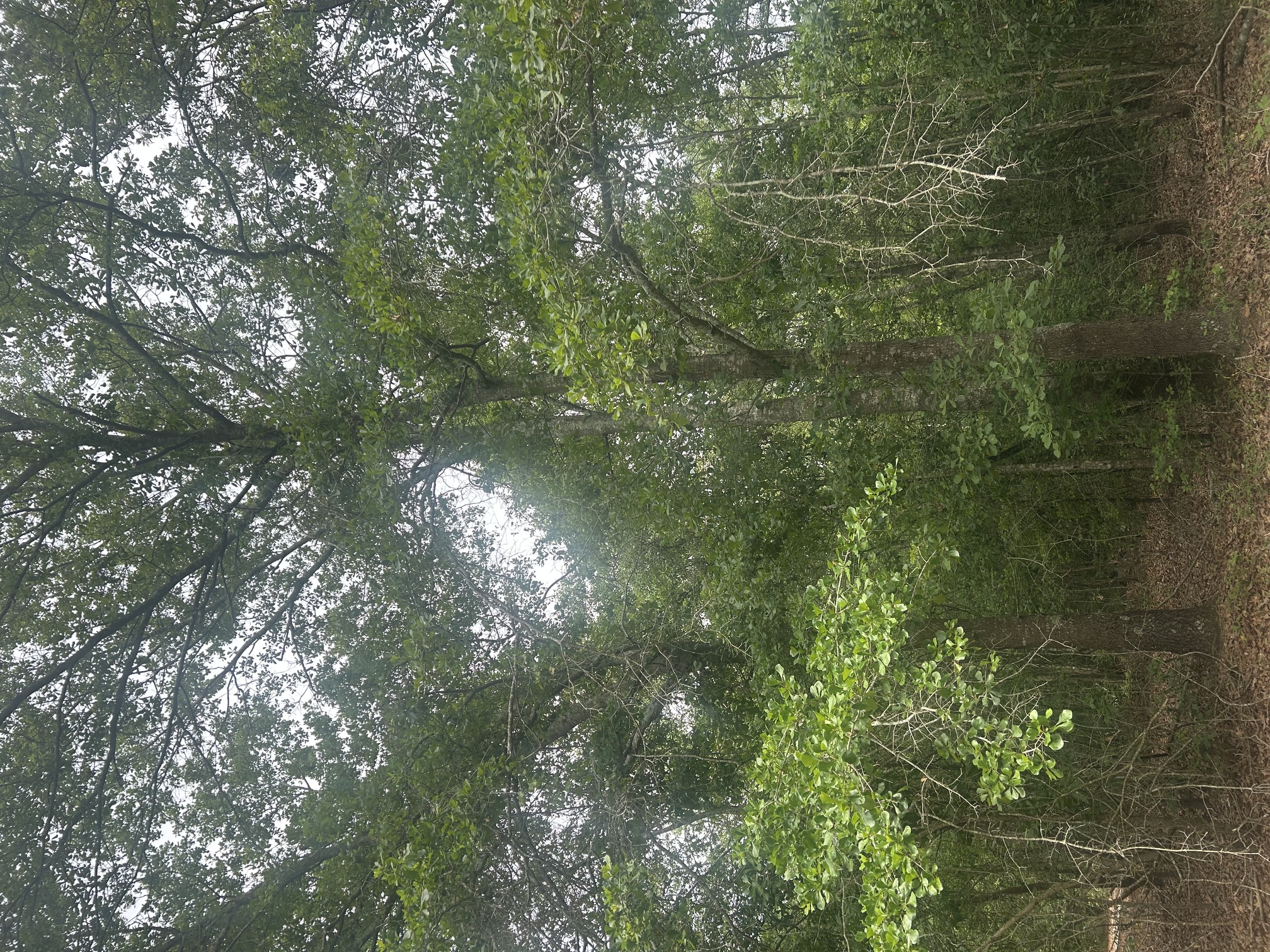 100584000 | Photo 14